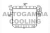 AUTOGAMMA 104039 Radiator, engine cooling